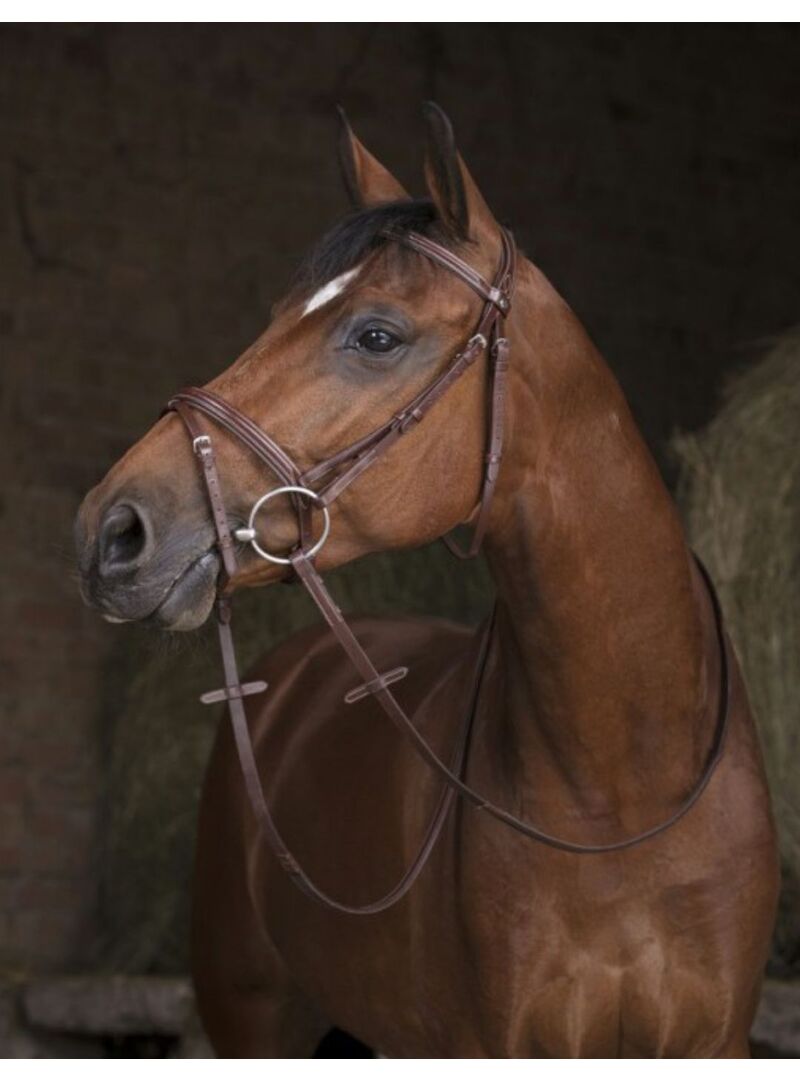 Riendas Hunter Norton Pro 16 MM Havana - Norton (2)