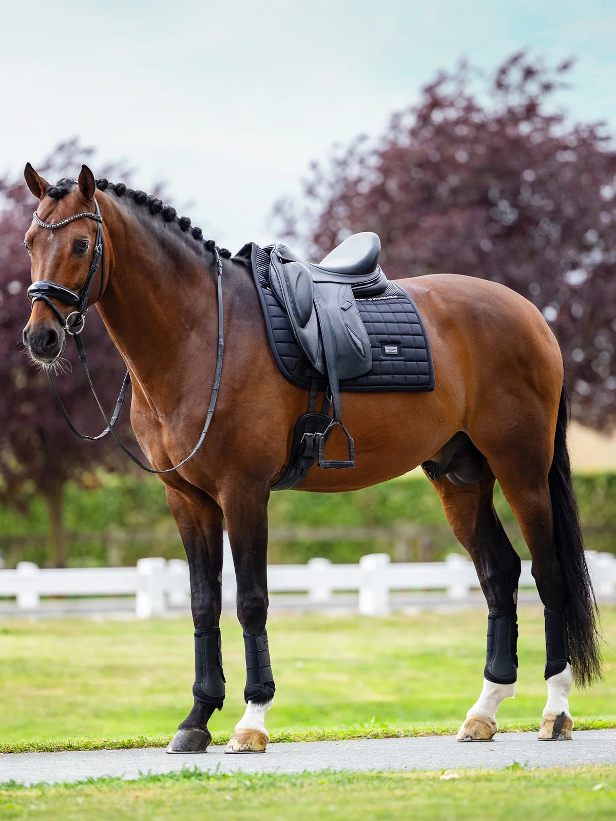 Mantilla Performance Black Equestrian Stockholm (Doma)