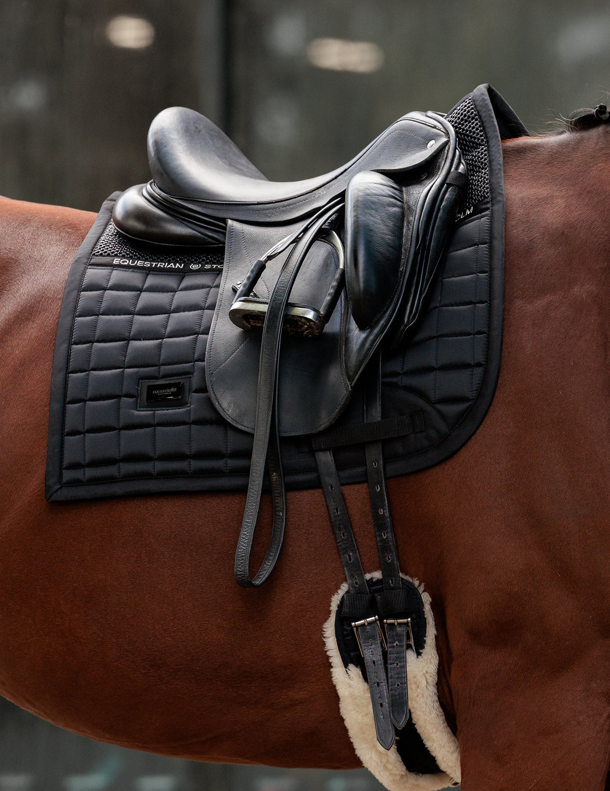 Mantilla Performance Black Equestrian Stockholm (Doma)