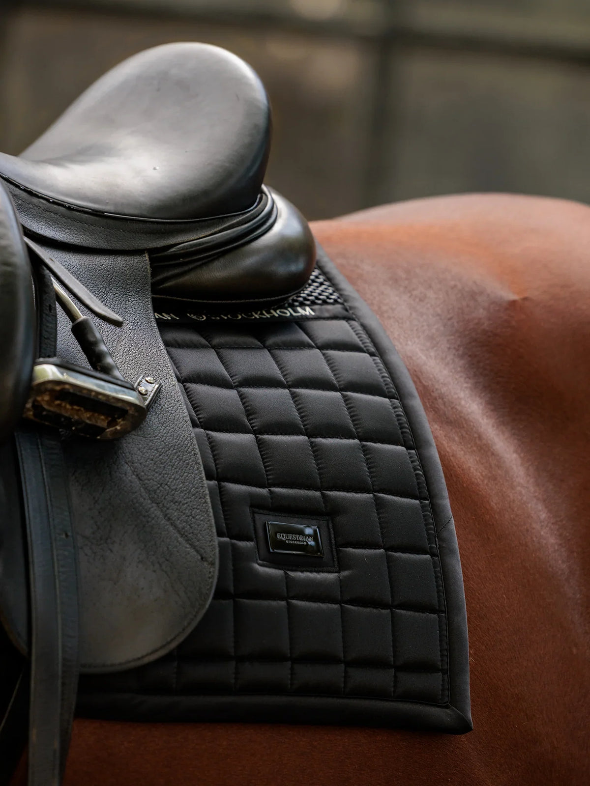 Mantilla Performance Black Equestrian Stockholm (Doma)