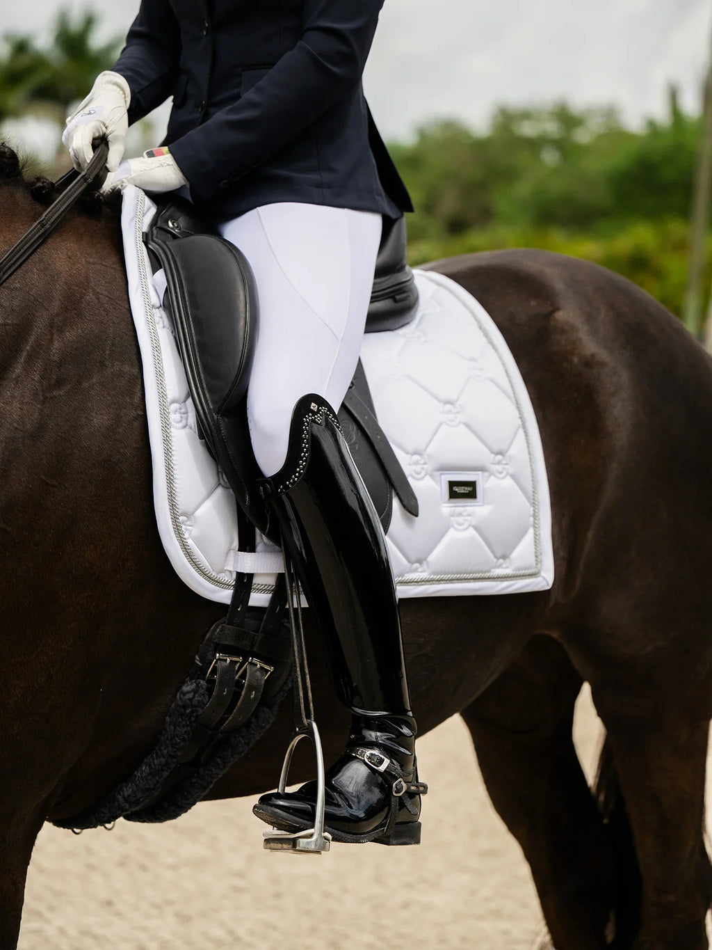 Mantilla White Perfection Silver Equestrian Stockholm (Doma)
