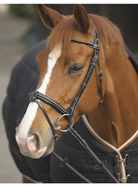 Cabezada Penelope “Point Sellier” Negro