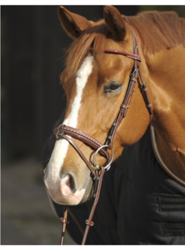 Cabezada Penelope “Point Sellier” Avellana