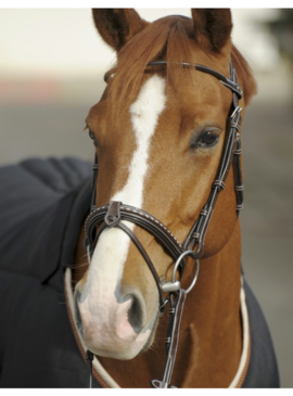 Cabezada Penelope “Point Sellier” Habana