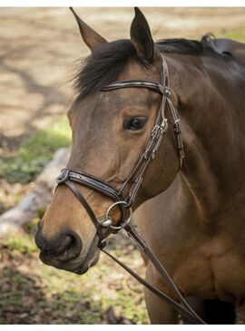 Cabezada de Montar Penelope “Smoothie” Havana