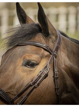 Cabezada de Montar Penelope “Smoothie” Havana