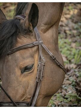 Cabezada de Montar Penelope “Smoothie” Havana