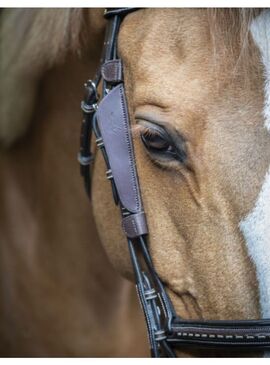 Antiojeras Penelope “Blinkers” Havana