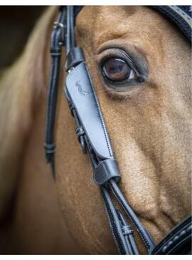 Anteojeras PENELOPE 'Blinkers' Negro