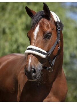 Cabezada Norton “Mouton Synthétique Doux” Negro