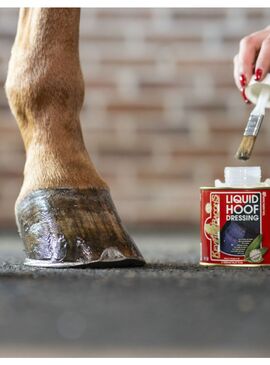 Aceite para Cascos Kevin Bacon’s Hoof Dressing – Líquido