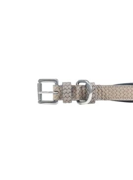 Collar de Perro Basket Dyon Gris