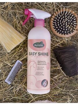 Easy Shine Ravene Spray