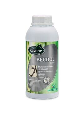 Becool Ravene Anti-estrés