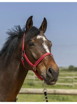 Cabezada de Cuadra Norton “Grooming” Rojo