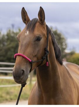 Cabezada de Doma Natural + Ramal Norton “Fun Colour” Negro/Fucsia