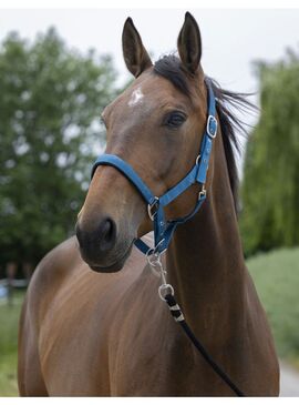 Cabezada Norton “Satine” Pato Azul