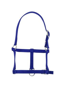 Cabezada de Cuadra para Potro Riding World Azul Royal