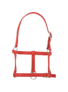 Cabezada de Cuadra para Potro Riding World Rojo