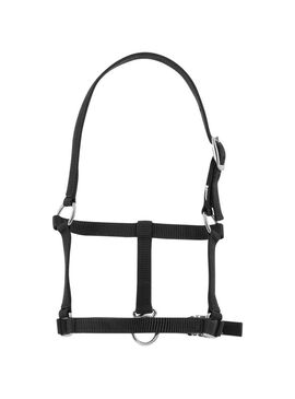 Cabezada de Cuadra para Potro Riding World Negro