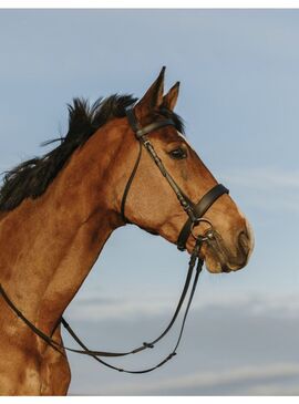 Cabezada de Montar Riding World Muserola Ancha Negro