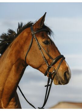 Cabezada Riding World Muserola Doble con Cierraboca Negro