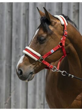 Cabezada de Cuadra Riding World de Borreguillo Sintético Rojo