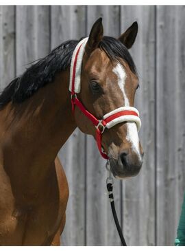 Cabezada de Cuadra Riding World de Borreguillo Sintético Rojo