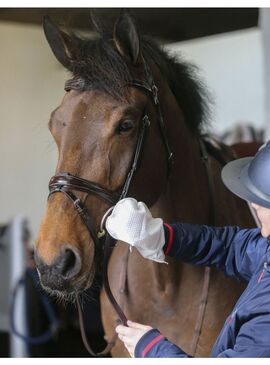 Guantes de Limpieza Belvoir Carr & Day & Martin