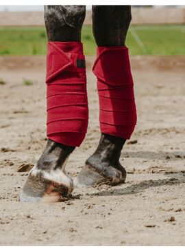 Vendas de Polo Equithème 3M Rojo