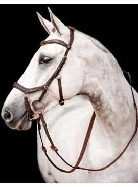 Riendas Horseware Micklem Competition Bridle Marrón