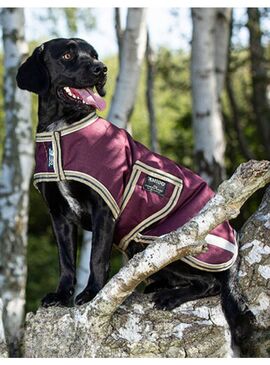 Manta Amigo para Perros Impermeable Berenjena