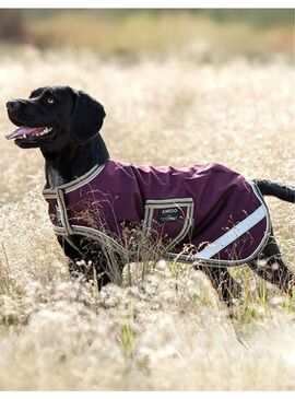 Manta Amigo para Perros Impermeable Berenjena