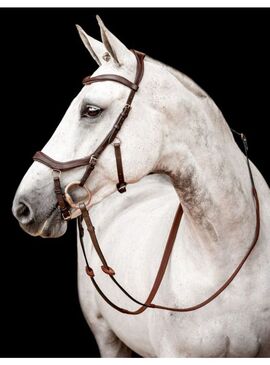 Cabezada Inglesa Horseware Micklem 2 Competition Bridle (Sin Riendas) Marrón