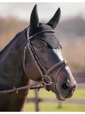 Orejeras Antimoscas Penelope “Soundless Strass” Insonorizadas Negro