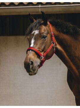 Cabezada de Nylon Equithème “Jacquard” Rojo