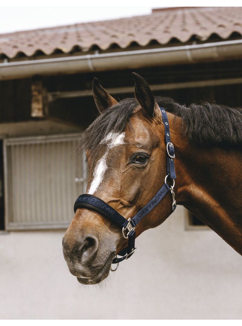 Cabezada de Nylon Equithème “Jacquard” Marino