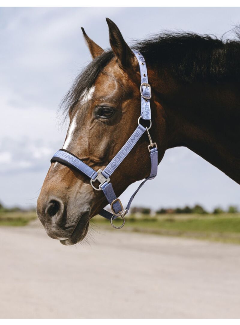 Cabezada de Nylon Equithème “Jacquard” Celeste