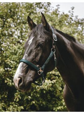 Cabezada de Nylon Equithème “Protector” Verde