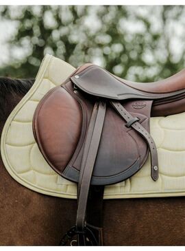 Mantilla Riding World “Sunshine” Amarillo