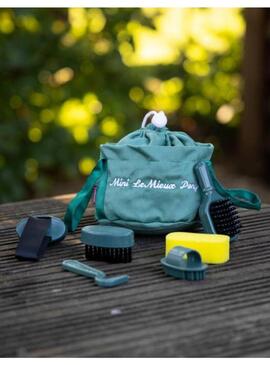 Kit de Limpieza para Poni Juguete LeMieux Verde