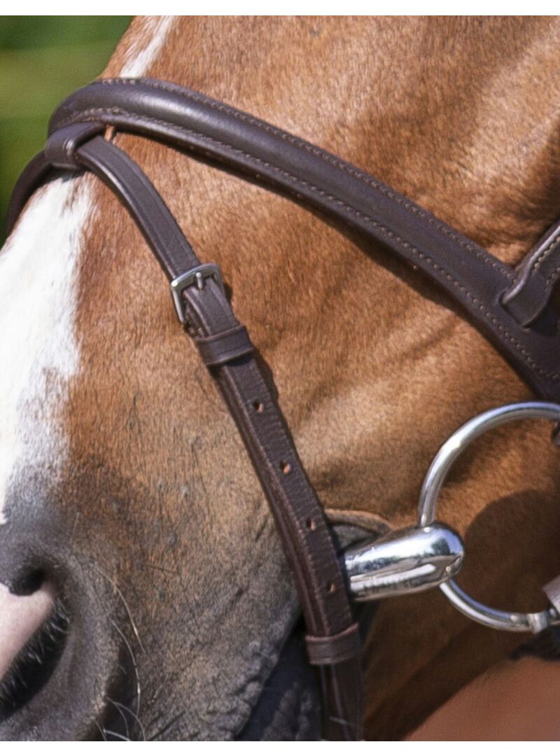Cabezada de montar Riding World “Muserolle Combinée” Havana