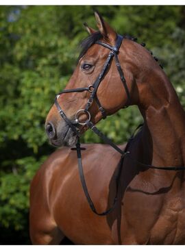 Cabezada de montar Riding World “Muserolle Croisée" Negro