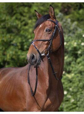 Cabezada de montar Riding World “Muserolle Croisée" Negro