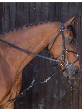Gogue con Poleas Riding World Negro