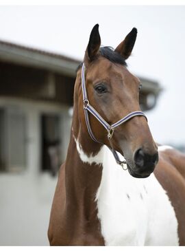 Cabezada de cuadra Equithème "Polyfun" Marino