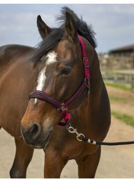 Cabezada de cuadra Equtihème "Nylon Strass" Burdeos