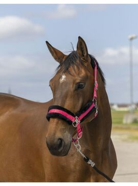 Cabezada de cuadra con borreguillo Equithème "Nylon Mouton" Rosa/Negro