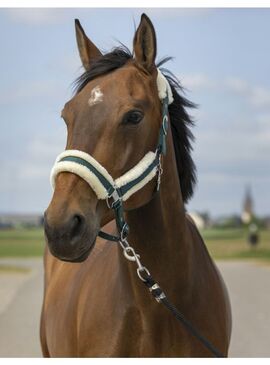 Cabezada de cuadra con borreguillo Equithème "Nylon Mouton" Verde/Blanco