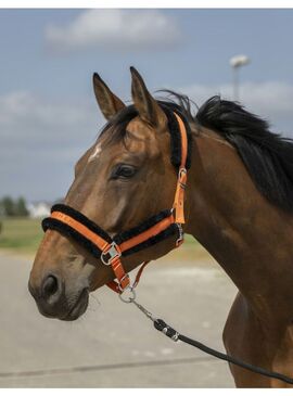 Cabezada de cuadra con borreguillo Equithème "Nylon Mouton" Naranja/Negro